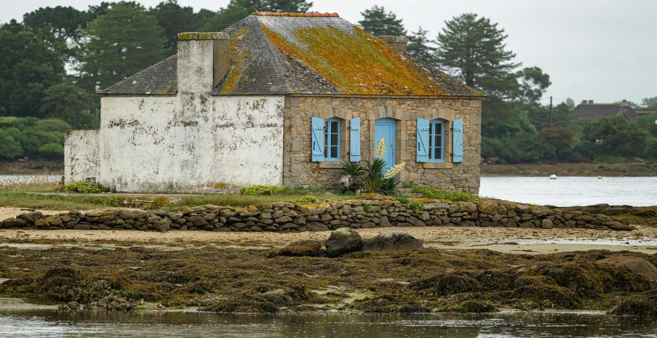 Calendrier potager Bretagne : guide de jardinage régional