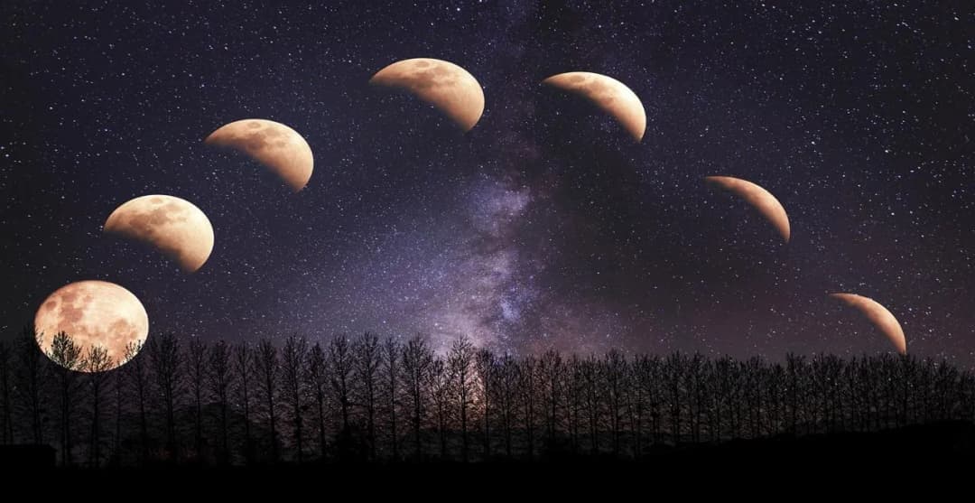 Jardiner avec la lune : graines et plantes pour un jardin prospère
